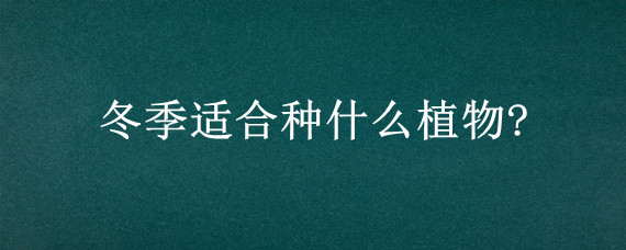 冬季适合种什么植物?