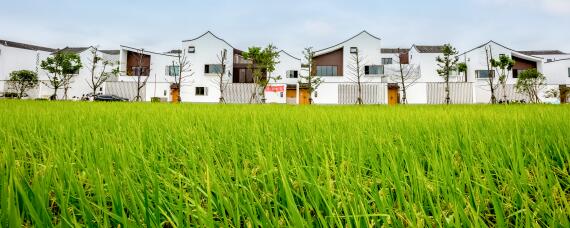 数字农业什么意思