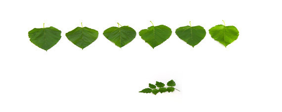 蚕卵孵化需要适宜的什么和什么