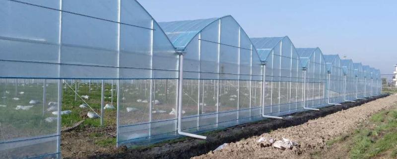 冬季大棚用什么方法升温大棚取暖灯一亩用几个