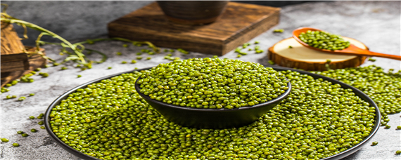 绿豆怎么发芽步骤用水