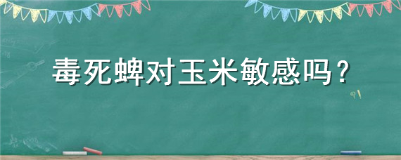 毒死蜱对玉米敏感吗