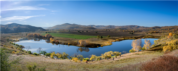 水产用乳酸菌正确发酵方法