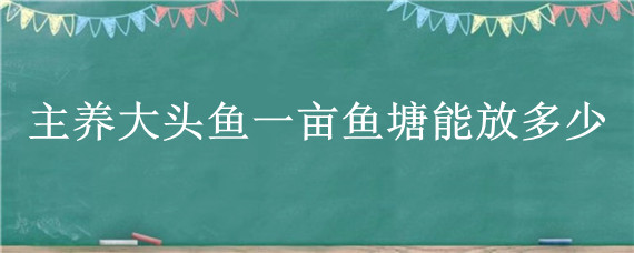 主养大头鱼一亩鱼塘能放多少