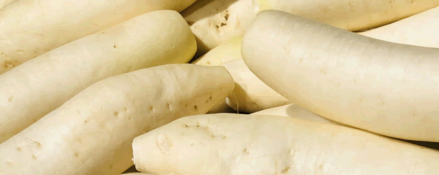 萝卜根肿病打什么药好？