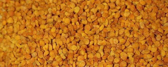 茶花粉可以祛斑吗？