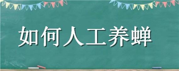 如何人工养蝉