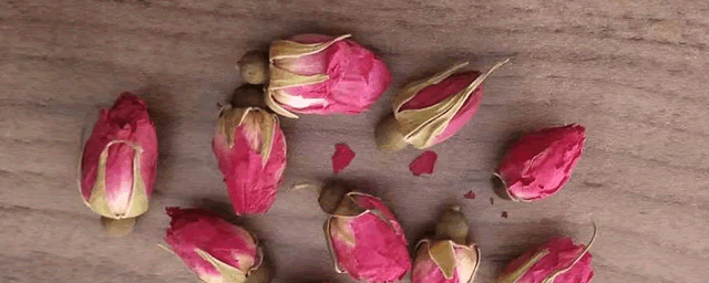 玫瑰花怎么种植