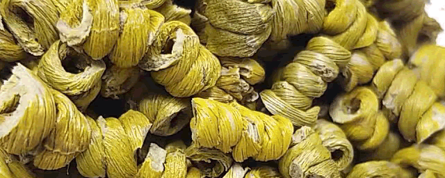 铁皮石斛用什么土种植