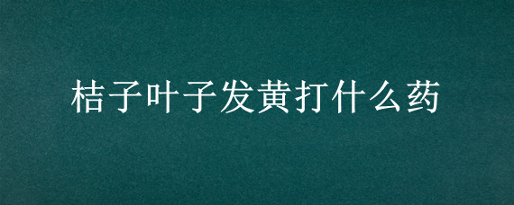 桔子叶子发黄打什么药