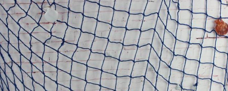 国家规定渔网最小尺寸是多少渔网怎么甩出去