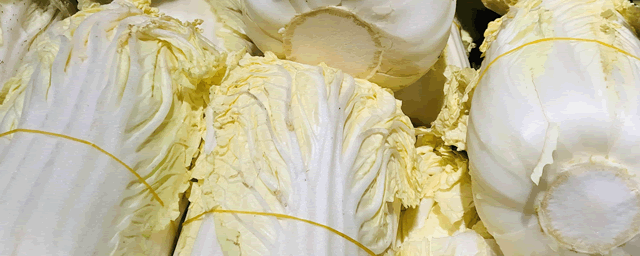 白菜褐斑病如何防治