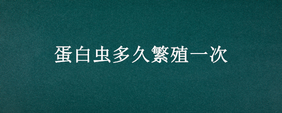 蛋白虫多久繁殖一次