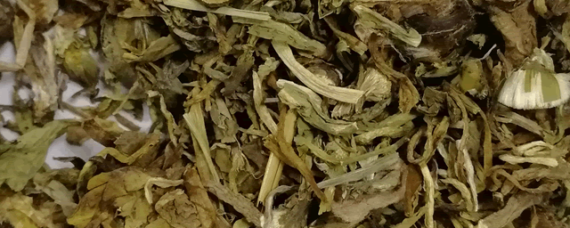 蒲公英怎么种植