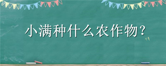小满种什么农作物