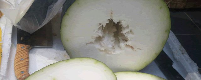 冬瓜灰斑病的防治措施