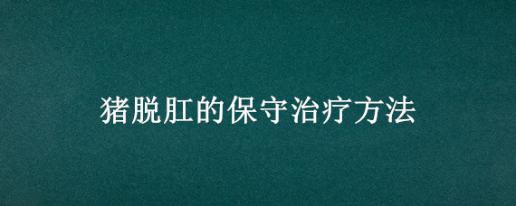 猪脱肛的保守治疗方法