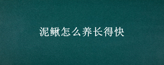 泥鳅怎么养长得快