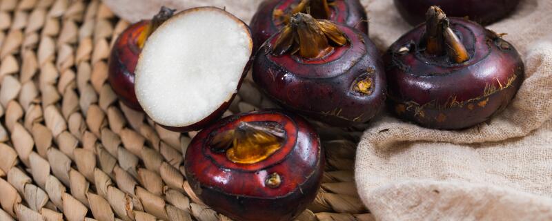 荸荠是果实还是种子