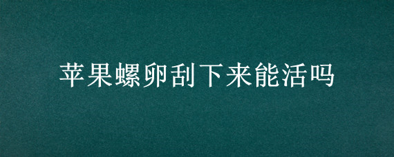 苹果螺卵刮下来能活吗