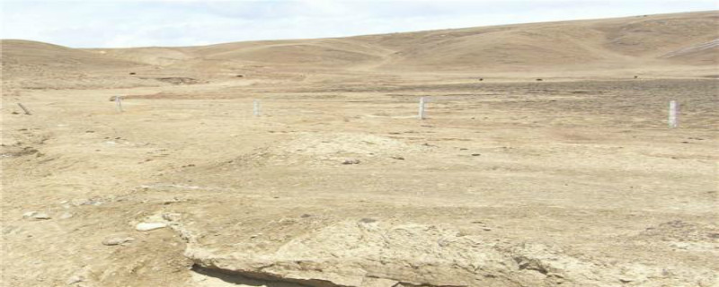 栗色土在我国的分布