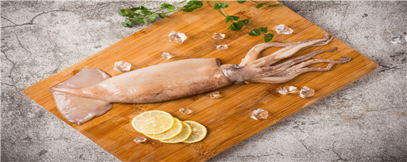 鱿鱼有什么营养