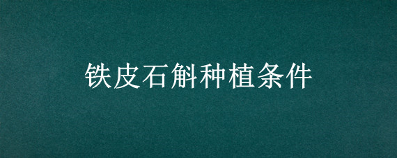 铁皮石斛种植条件