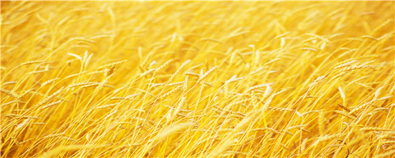 如何简单的提高作物产量？