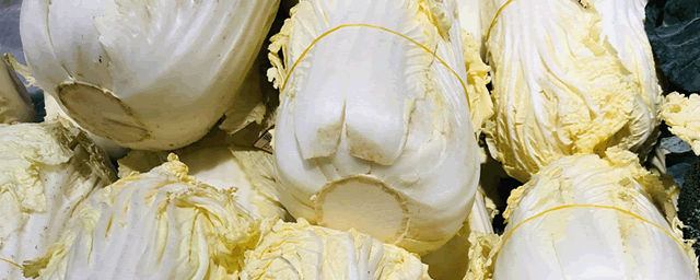 白菜的营养价值有什么