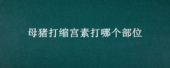 母猪打缩宫素打哪个部位