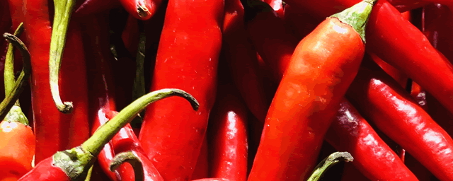 辣椒病毒病用什么农药