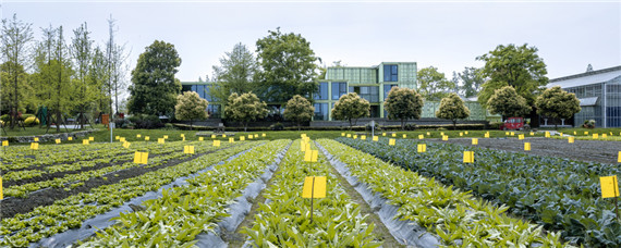 数字农业与智慧农业区别