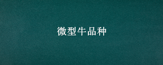 微型牛品种
