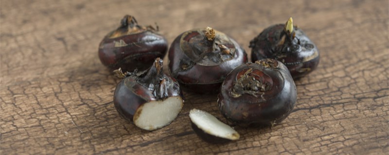 荸荠是种子还是果实