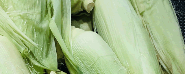 玉米去顶什么时候