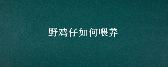 野鸡仔如何喂养