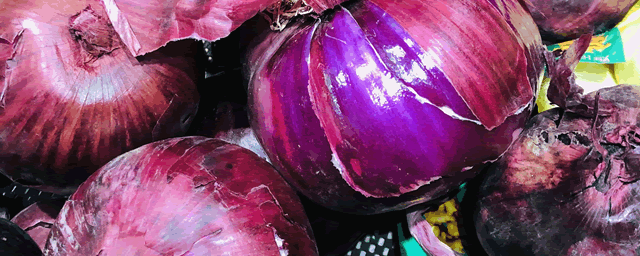 洋葱紫斑病怎样防治