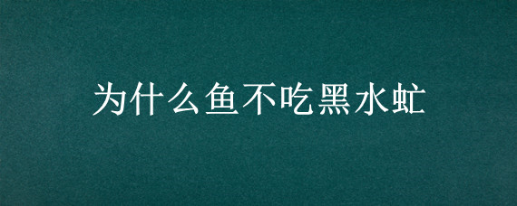 为什么鱼不吃黑水虻