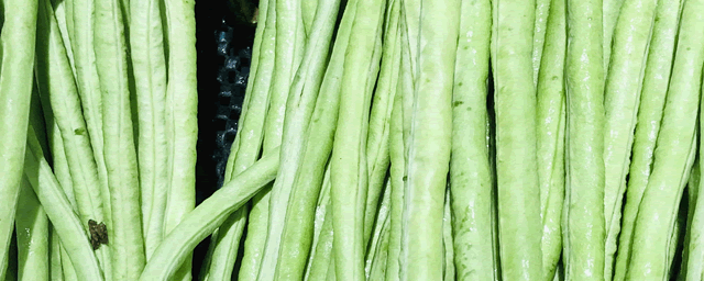 豆角绣病用什么药