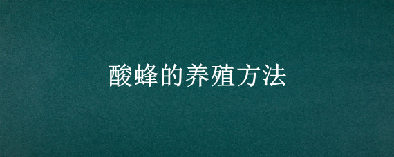 酸蜂的养殖方法