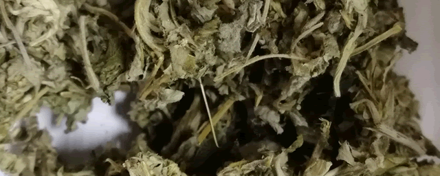 艾草茶的功效与作用有什么