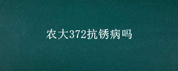 农大372抗锈病吗