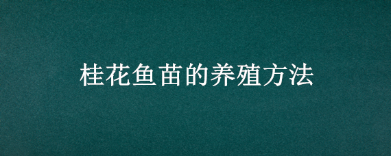 桂花鱼苗的养殖方法