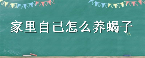 家里自己怎么养蝎子