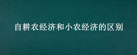 自耕农经济和小农经济的区别
