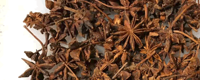 八角树种多久结果