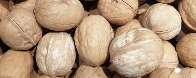 核桃褐斑病打什么药效果好