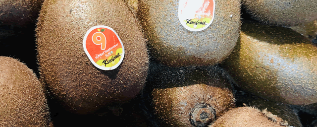 猕猴桃产地在我国哪里