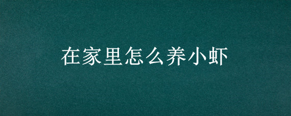 在家里怎么养小虾