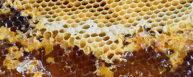 百花蜜的功效与作用有哪些？